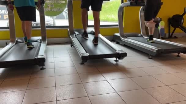 Ludzie Ćwiczący Bieżni Chodzącej Maszynie Wysokiej Jakości Materiał — Wideo stockowe