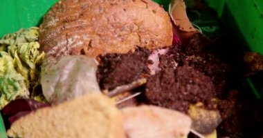 Yeşil konteynırda organik atık. Yüksek kalite 4k görüntü