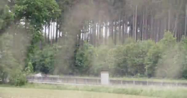Tid Förflutit Motorvägstrafik Med Tallskog Högkvalitativ Film — Stockvideo