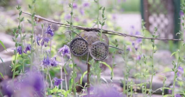 Tuin Met Ijzeren Vlieg Decoratie Columbine Bloemen Hoge Kwaliteit Beeldmateriaal — Stockvideo