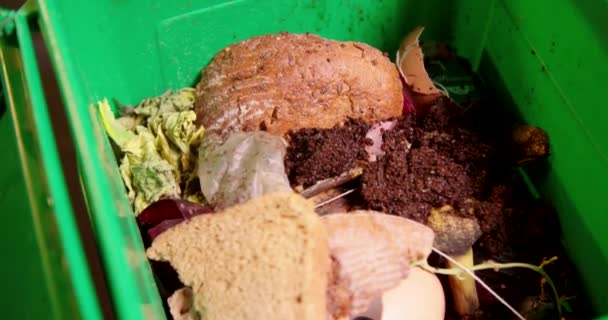 Organický Odpad Zelené Nádobě Vysoce Kvalitní Záběry — Stock video