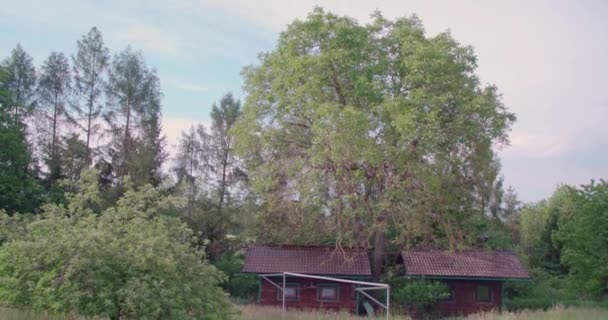 Yazın Kulübeleriyle Güzel Bir Bahçede Büyüyen Bluebell Ağacı Yüksek Kalite — Stok video