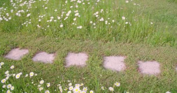 4,496Memotong rumput di halaman Βίντεο royalty-free Memotong rumput di  halaman Πλάνα - Σελίδα 2 | Depositphotos®