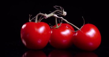 Olgun domatesler siyah arka planda dönüyor. Yüksek kalite 4k görüntü