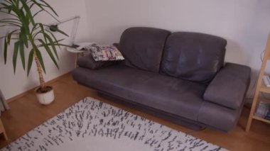 Deri kanepe, halı ve bitki oturma odasında. Yüksek kalite 4k görüntü