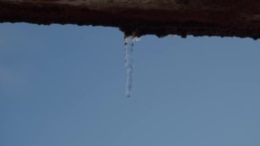 Çatıdan buz saçağı düşüyor. Yüksek kalite 4k görüntü