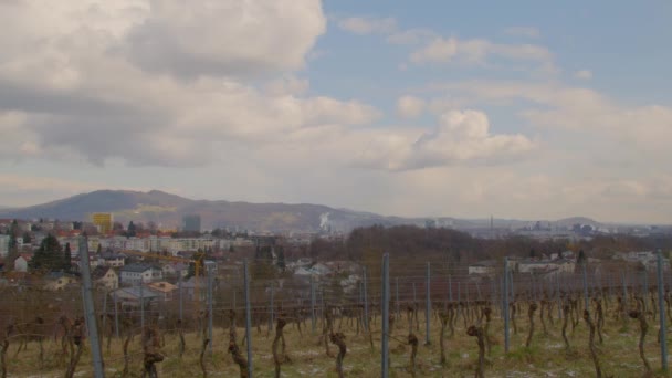 リンツのブドウ畑と工業地帯のタイムラプス 高品質4K映像 — ストック動画