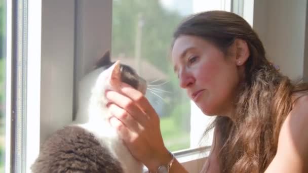 Женщина Отеле Кошки Хозяева Кошками Высококачественные Кадры — стоковое видео
