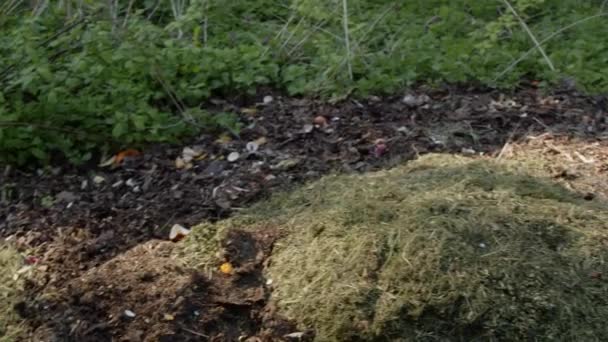 Komposthaufen Mit Biomüll Und Rasenschnitt Hochwertiges Filmmaterial — Stockvideo
