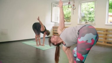 Stüdyoda ısınma ve esneme hareketleri yapan kadın yoga sınıfı. Yüksek kalite 4k görüntü