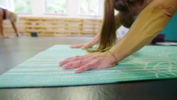 Yoga Klass Studio Värma Upp Olika Poser Högkvalitativ Film — Stockvideo
