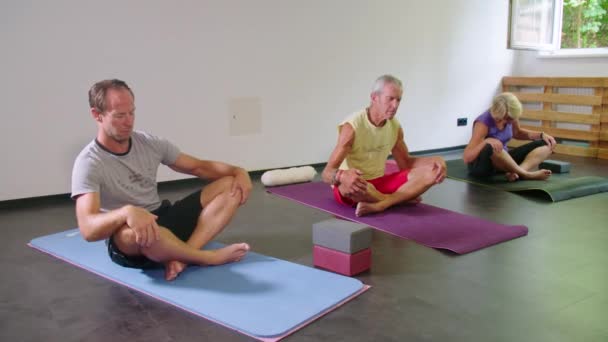 Yoga Kurs Studio Zum Aufwärmen Verschiedenen Posen Hochwertiges Filmmaterial — Stockvideo