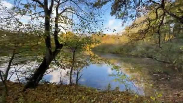 Όμορφη Φθινοπωρινή Σκηνή Στη Λίμνη Υψηλής Ποιότητας Πλάνα — Αρχείο Βίντεο