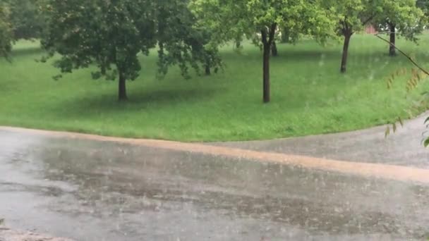 Ploaie Abundentă Care Inundă Strada Rurală Imagini Înaltă Calitate — Videoclip de stoc