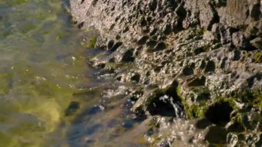 Traunsee Gölü 'ndeki su kıyıda dalgaları kırıyor. Yüksek kalite 4k görüntü