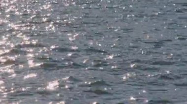Traunsee göl suyundan Traunkirchen Bokeh. Yüksek kalite 4k görüntü
