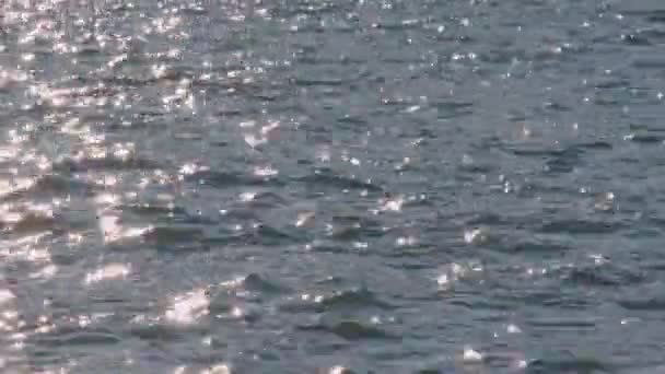 Traunsee Göl Suyundan Traunkirchen Bokeh Yüksek Kalite Görüntü — Stok video