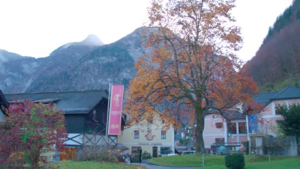 博物館と町の中心部を横断するホルスタットパン 高品質4K映像 — ストック動画