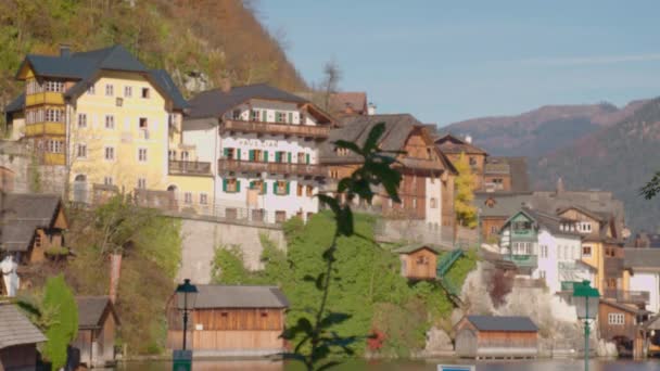 Hallstatt Kasaba Evleri Kuğular Yüksek Kalite Görüntü — Stok video