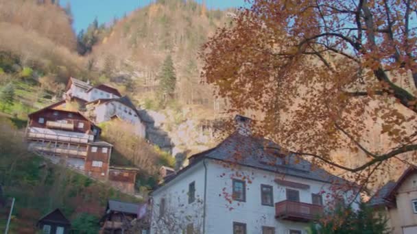 Hallstätter Altbauten Dicht Dicht Auf Dem Hügel Hochwertiges Filmmaterial — Stockvideo