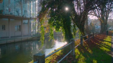 Su değirmeni ve ördekler Wels 'de Muehlbach' ta. Yüksek kalite 4k görüntü