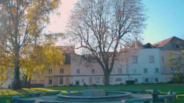 Avusturya 'nın yukarısındaki tarihi şato ve saray. Yüksek kalite 4k görüntü