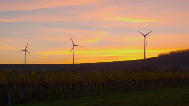 Ветряные Турбины Красивом Вечернем Свете Высококачественные Кадры — стоковое видео