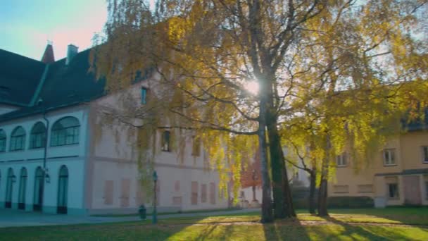 上奥地利韦尔斯历史性的城堡和宫殿 高质量的4K镜头 — 图库视频影像