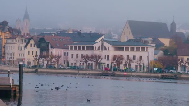 그문덴에 호수의 갈매기 고품질 — 비디오