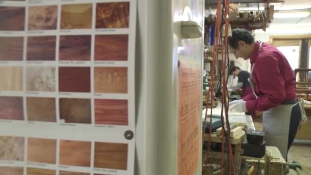 Mobilya Restoratörü Yardımcı Atölyede Çalışıyor Yüksek Kaliteli Fullhd Görüntüler — Stok video