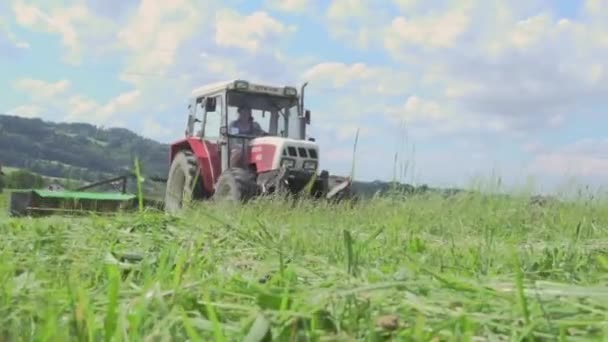Tractor Segando Hierba Pasto Verano Imágenes Fullhd Alta Calidad — Vídeos de Stock