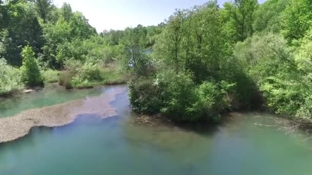トラン川の美しい柳の木 高品質のフルHd映像 — ストック動画