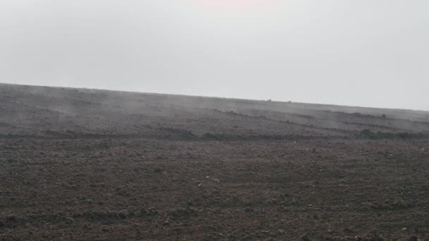Scurgerea Timpului Vase Ceață Câmp Toamnă Imagini Înaltă Calitate — Videoclip de stoc