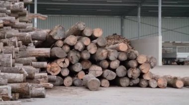 Ağaç gövdeleri ve odun parçaları depolama alanında. Yüksek kalite 4k görüntü