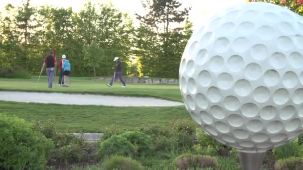 Golfista Pelota Golf Gigante Imágenes Fullhd Alta Calidad — Vídeos de Stock