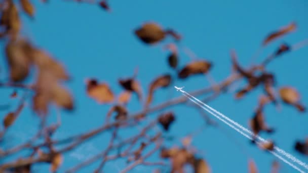 Dálnopis Tryskového Letadla Kondenzátory Vysoce Kvalitní Záběry — Stock video