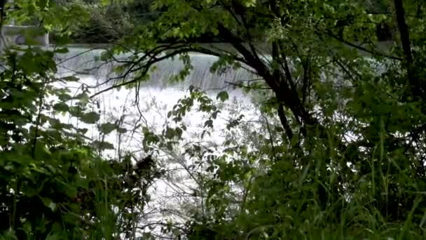 Αλπικός Ποταμός Alm Στην Άνω Αυστρία Υψηλής Ποιότητας Υλικό Fullhd — Αρχείο Βίντεο