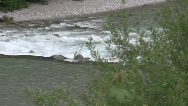 Alm Rio Alpino Alta Áustria Imagens Fullhd Alta Qualidade — Vídeo de Stock
