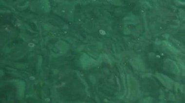 Salzkammergut Gölü Attersee 'nin masmavi suyu. Yüksek kaliteli FullHD görüntüler