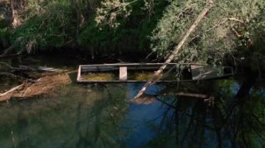 Irmak ormanında yarı batık bir tekne. Yüksek kalite 4k görüntü