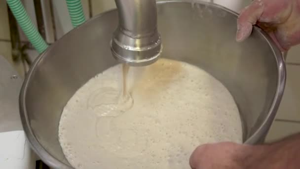 Sauerteig Wird Topf Bäckerei Gefüllt Hochwertiges Fullhd Filmmaterial — Stockvideo