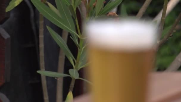 Cerveja Vidro Com Espuma Imagens Fullhd Alta Qualidade — Vídeo de Stock