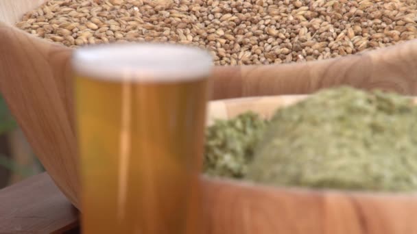Vaso Cerveza Con Lúpulo Ingredientes Cebada Imágenes Fullhd Alta Calidad — Vídeos de Stock