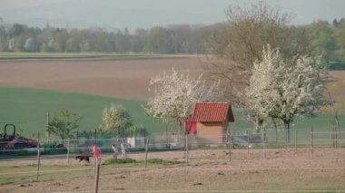 Tarımsal tarlaları, at çayırları ve köyü olan kırsal alan. Yüksek kalite 4k görüntü
