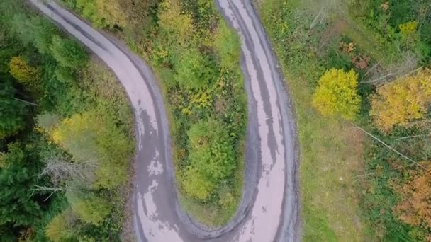秋の森の蛇紋岩の空中 高品質のフルHd映像 — ストック動画