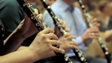 Orkestra provasında ahşap pirinç bölümde. Yüksek kaliteli FullHD görüntüler