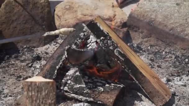Ognisko Grillowanym Chlebem Wysokiej Jakości Materiał Filmowy Fullhd — Wideo stockowe