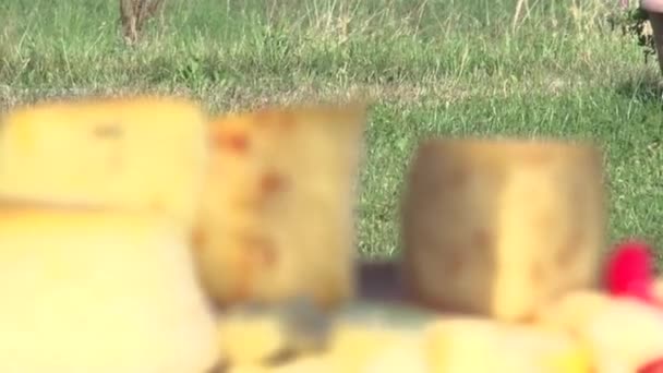 Piękny Talerz Serem Warzywami Wysokiej Jakości Materiał Filmowy Fullhd — Wideo stockowe