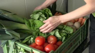 Mutfakta taze sebzelerle dolu bir kutu. Yüksek kaliteli FullHD görüntüler
