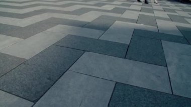 Mondsee Basilika katolik barok katedrali Salzkammergut 'ta. Yüksek kalite 4k görüntü